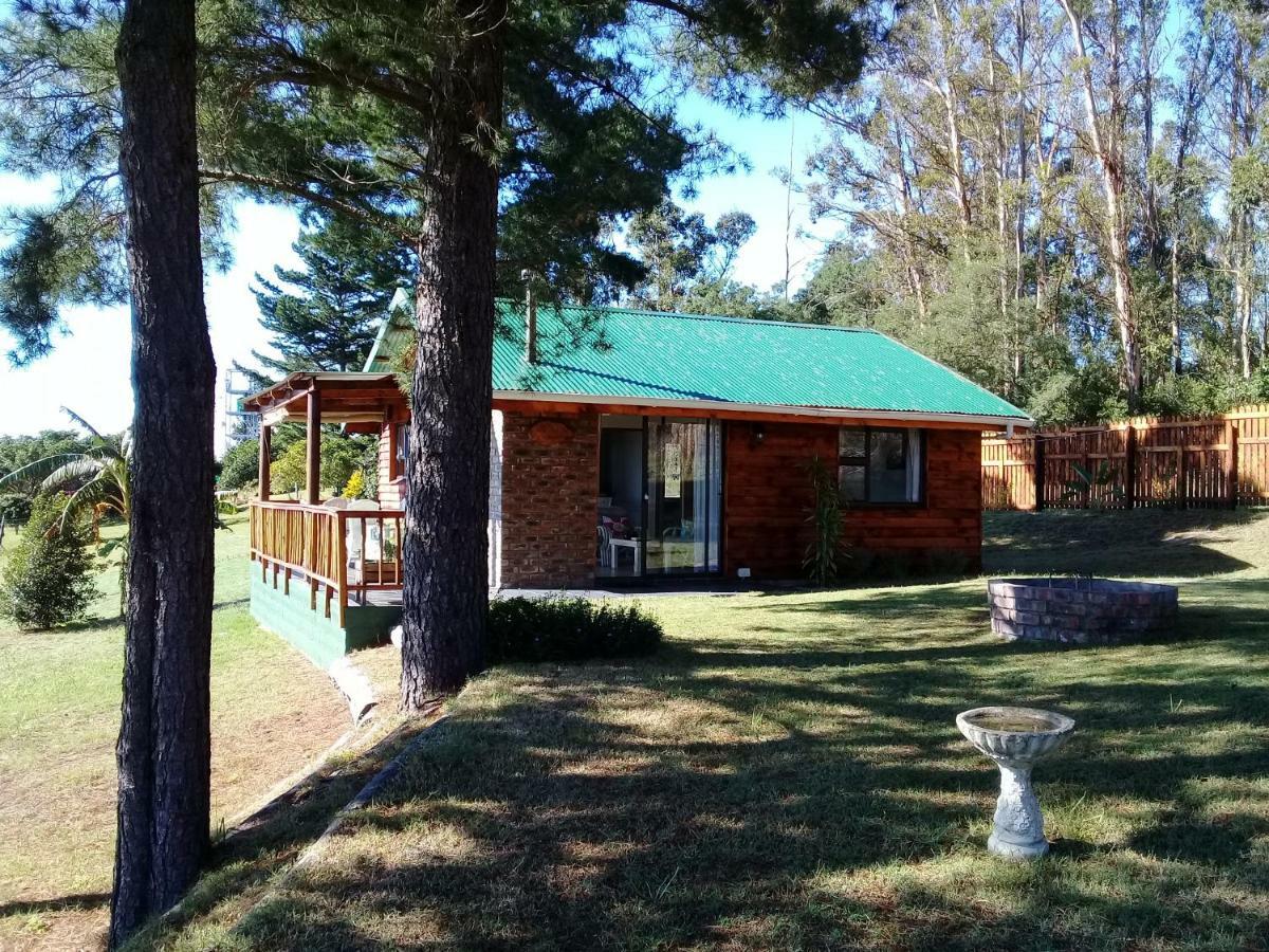 Wild fig Cottage Sedgefield Exteriör bild