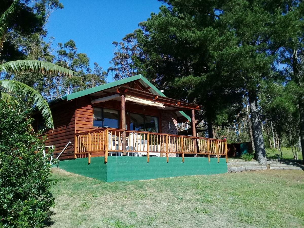 Wild fig Cottage Sedgefield Exteriör bild